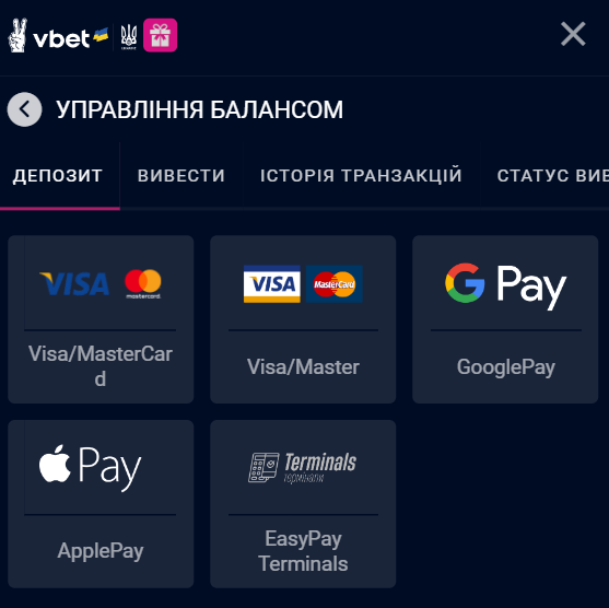 Платіжні системи у Vbet 